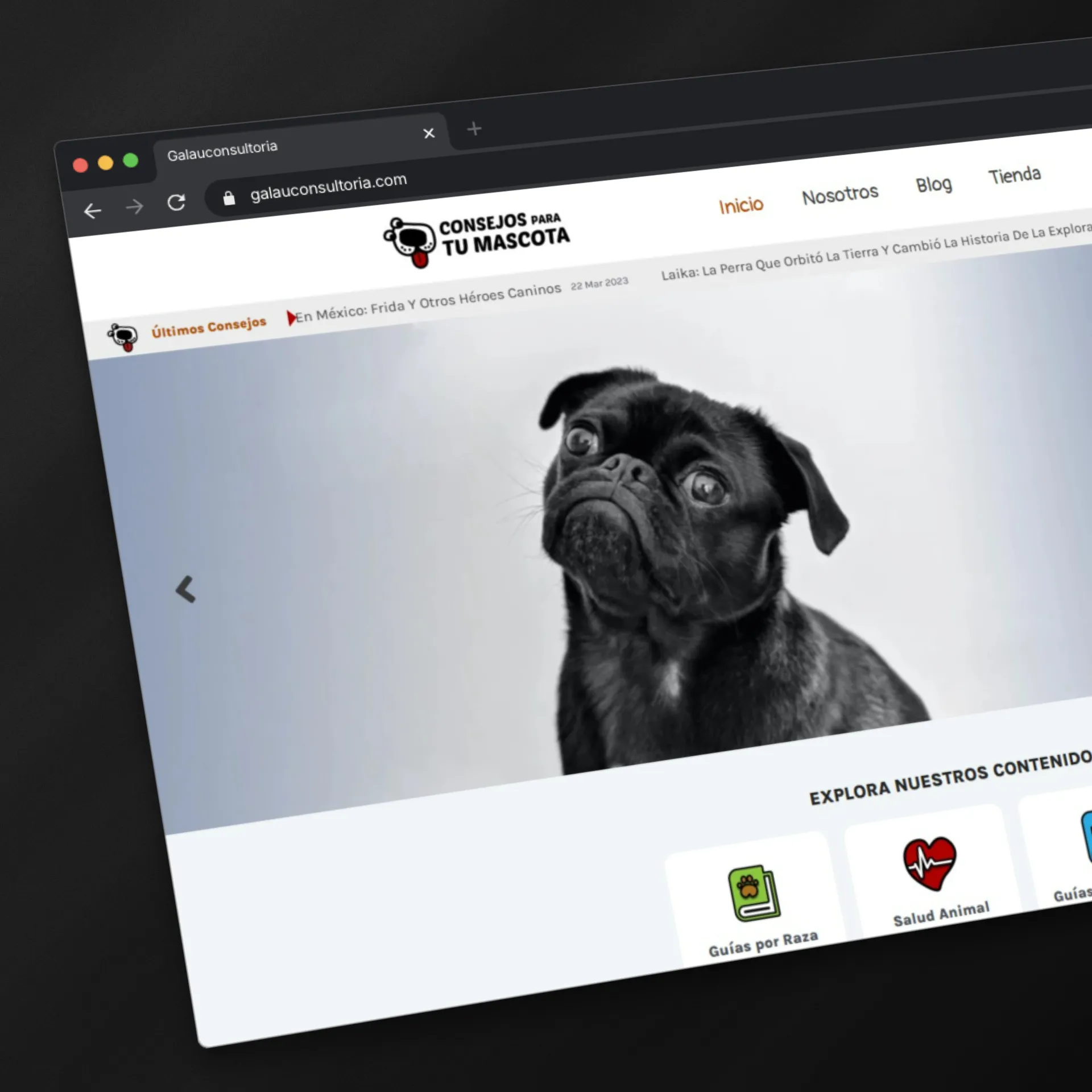 Miniatura 1 de Consejos Mascota