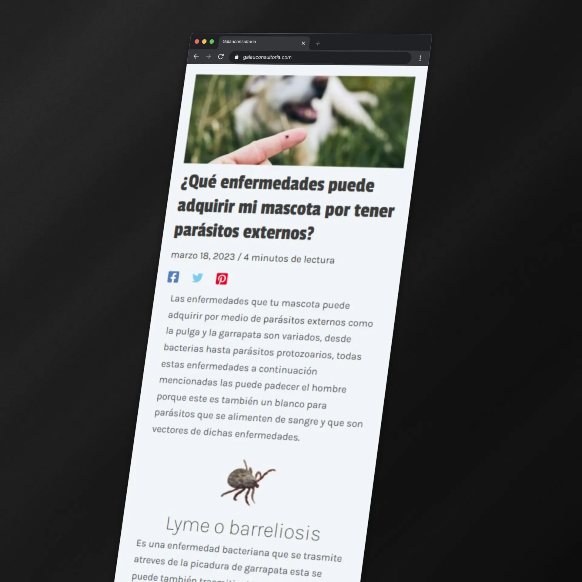 Miniatura 2 de Consejos Mascota